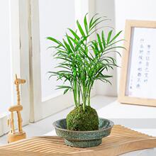 ����Ҭ��̦�\���҃ȷ�ݗ�����¿՚�������B�Gֲˮ�����ԃ����՚�