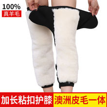 绑带真羊毛皮一体防寒保暖护膝男女老寒腿加厚绒护腿老年盖秋冬季