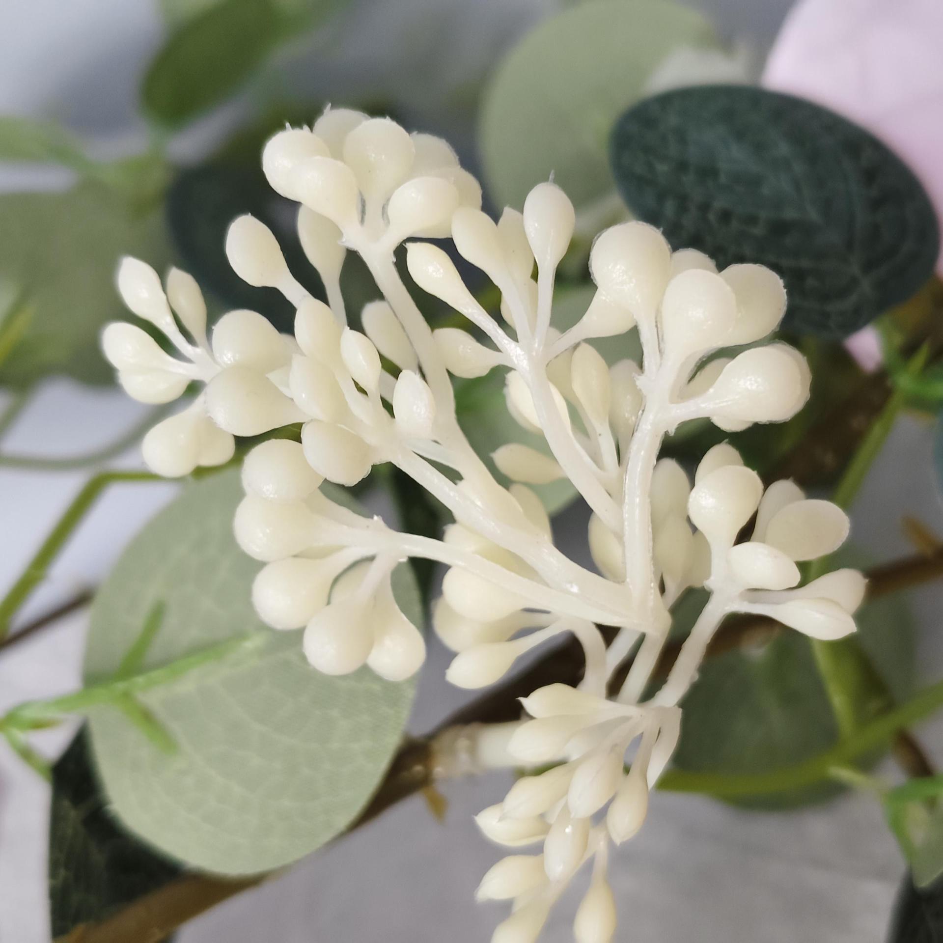 Amazonas imitación de vid yucarí vid