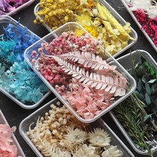 1Box Dried Flowers Dry Plants for Epoxy Resin Casting Mold跨