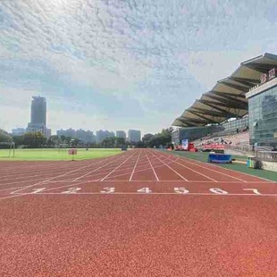 Composite Plastic Runway Primary and Secondary School Kindergarten Playground Composite Plastic Fitness Trail Plastic Runway Material