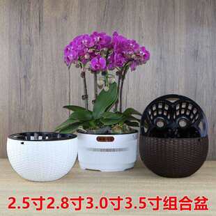 2.8��3.0���m����3-4�ú����mƴ�M����ظ������͸��W��������