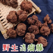 �������������� ����������Ұɽ��˿�� �������� �ƻ���������