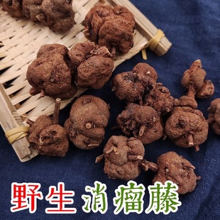 ��Ϭ��������� ���������wҰɽ��z�� �������� �S�������؛��