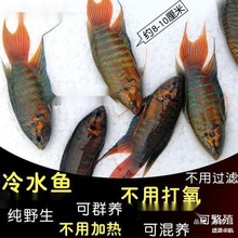 �Ї����~���~Ұ���ղ��ͺ���ˮ�~��ˮ�~�������ⲻ�ӟ��^�p�~���~