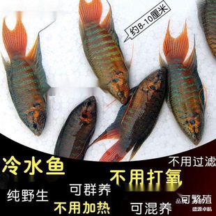 �Ї����~���~Ұ���ղ��ͺ���ˮ�~��ˮ�~�������ⲻ�ӟ��^�p�~���~