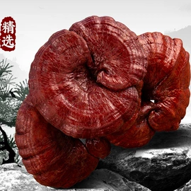 参类滋补品;燕窝;石斛/枫斗