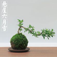 ���������㳬΢�� �¼�̦���� õ�弧�¼�̦�\����˺��B���滨��