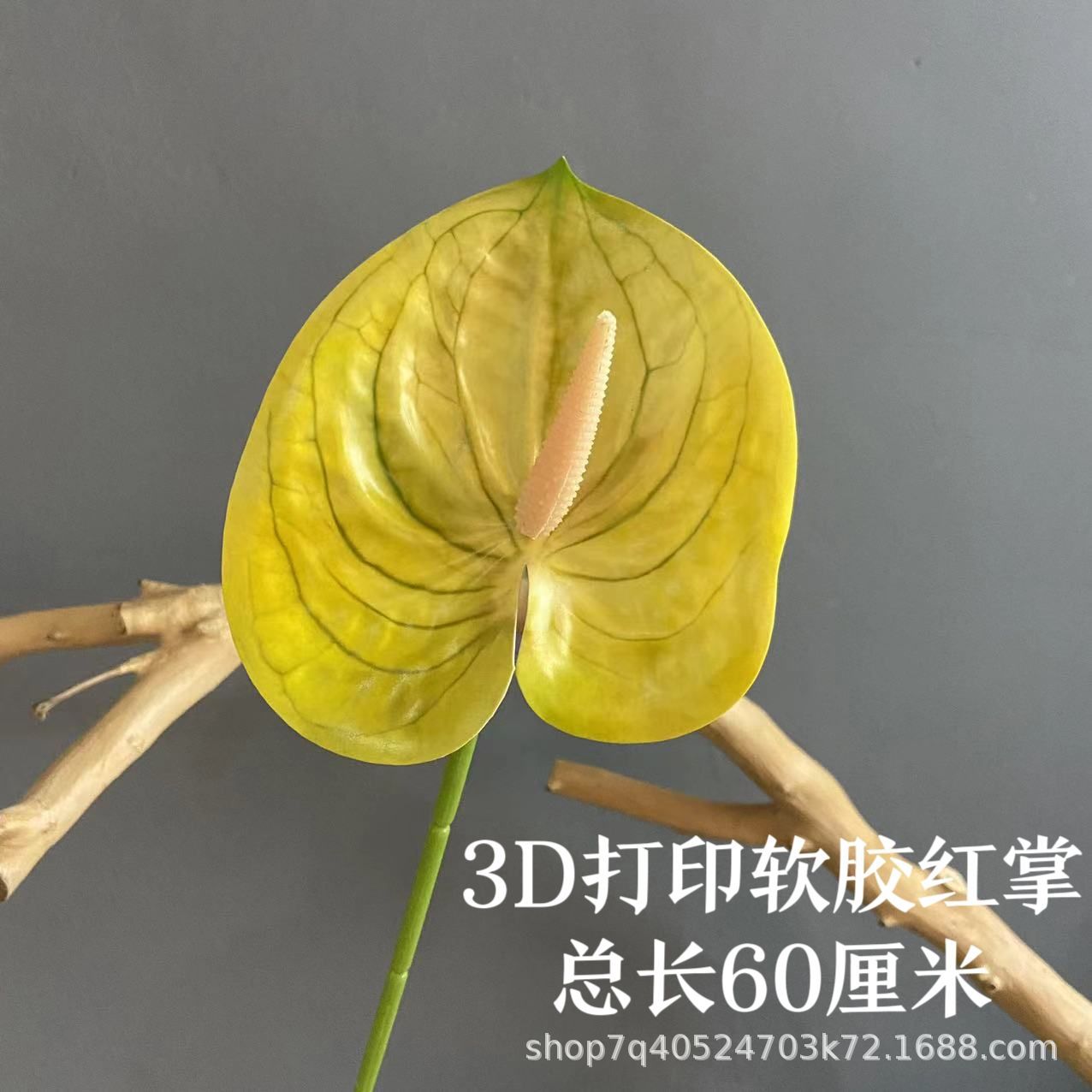 색상 번호 15