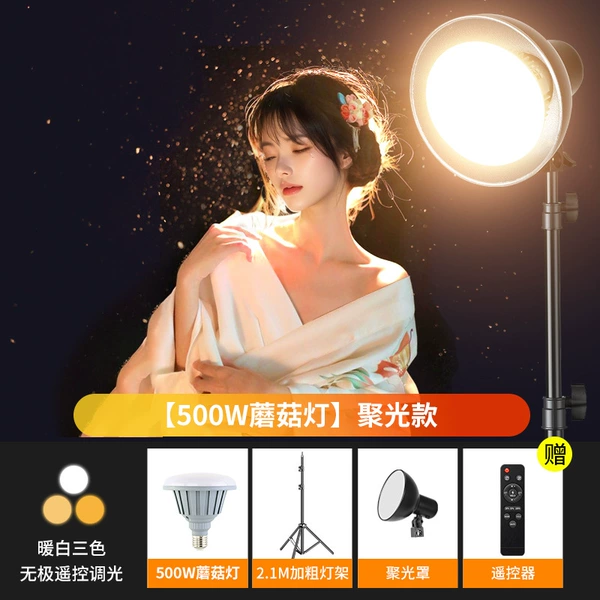 Bulb, three colors, 500W, 2m