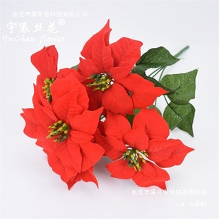 �Ƶ껨�����̈��b�����֧һƷ�t���^���}�Q���ϲ廨��tɫԔ��