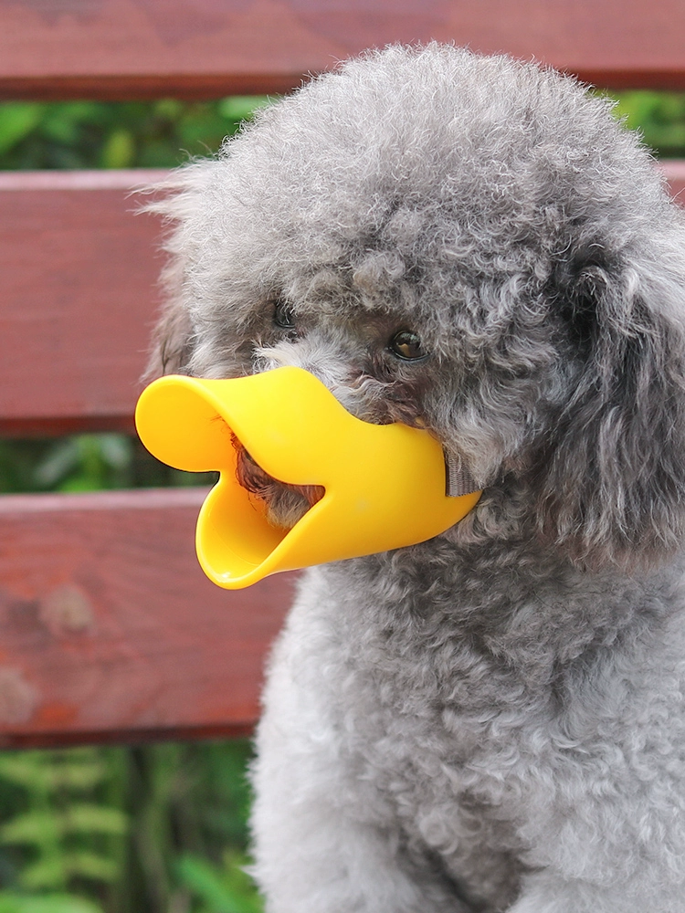 Крышка рта собаки против укуса может пить воду. Маленькие домашние животные. Тедди маска.