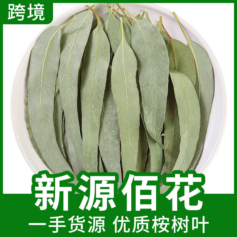 Wholesale Dried Eucalyptus Leaves, New Stock, Eucalyptus Leaves in Various Specifications, Bulk Packaging, Chinese Medicinal Herbs, Primary Agricultural Products, Large Quantities, Favorable Prices Wholesale Dried Eucalyptus Leaves, New Stock, Eucalyptus Leaves in Various Specifications, Bulk Packaging, Chinese Medicinal Herbs, Primary Agricultural Products, Large Quantities, Favorable Prices
