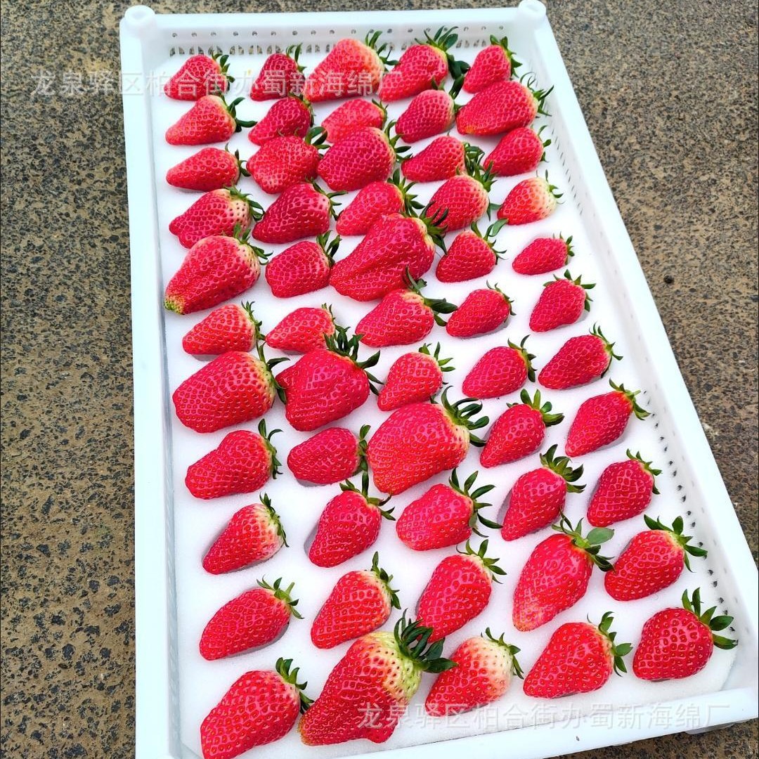 草莓海绵包装/周转草莓海绵包装/防震草莓海绵包装/缓冲草莓海绵