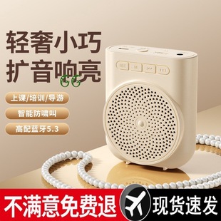 Little Bee Amplifier Teacher Bluetooth Microphone Megaphone Teacher Lecture Headset Tour Guide Wholesale
