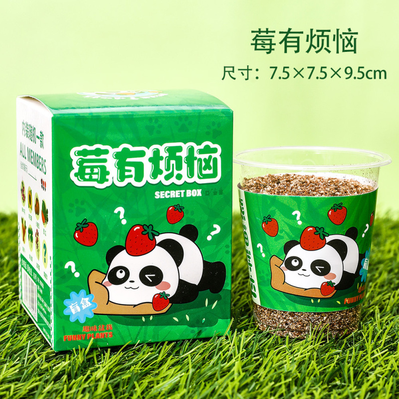 子供用植栽ミニプランター、学生用プラスチック賞品、卓上グリーン、ブラインドボックス、幼稚園ギフト、クリエイティブな小さな贈り物|undefined