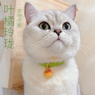 �~���ᭇ�����Ȧ؈��Ӣ�̲�ż̩�ϱ��ܿɐ���K����ͨ�Ì�����Ʒ