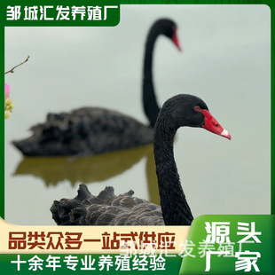 ��������Z���� �����^�p �Z��Ó�س������̺����Z���w�r��