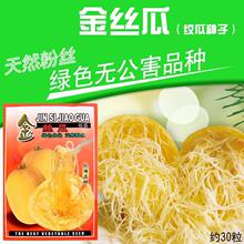 京福金丝瓜绞瓜种子天然粉丝瓜鱼翅瓜角瓜蔬菜种子金丝搅瓜种子