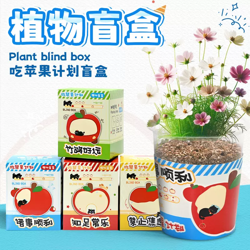 儿童种植小盆栽小学生桌面绿植盆栽幼儿园小礼品创意苹果植物盲盒