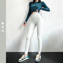 �ļ������٤ѝ���ѝ�⴩Ӗ���ܲ������o��ѝ