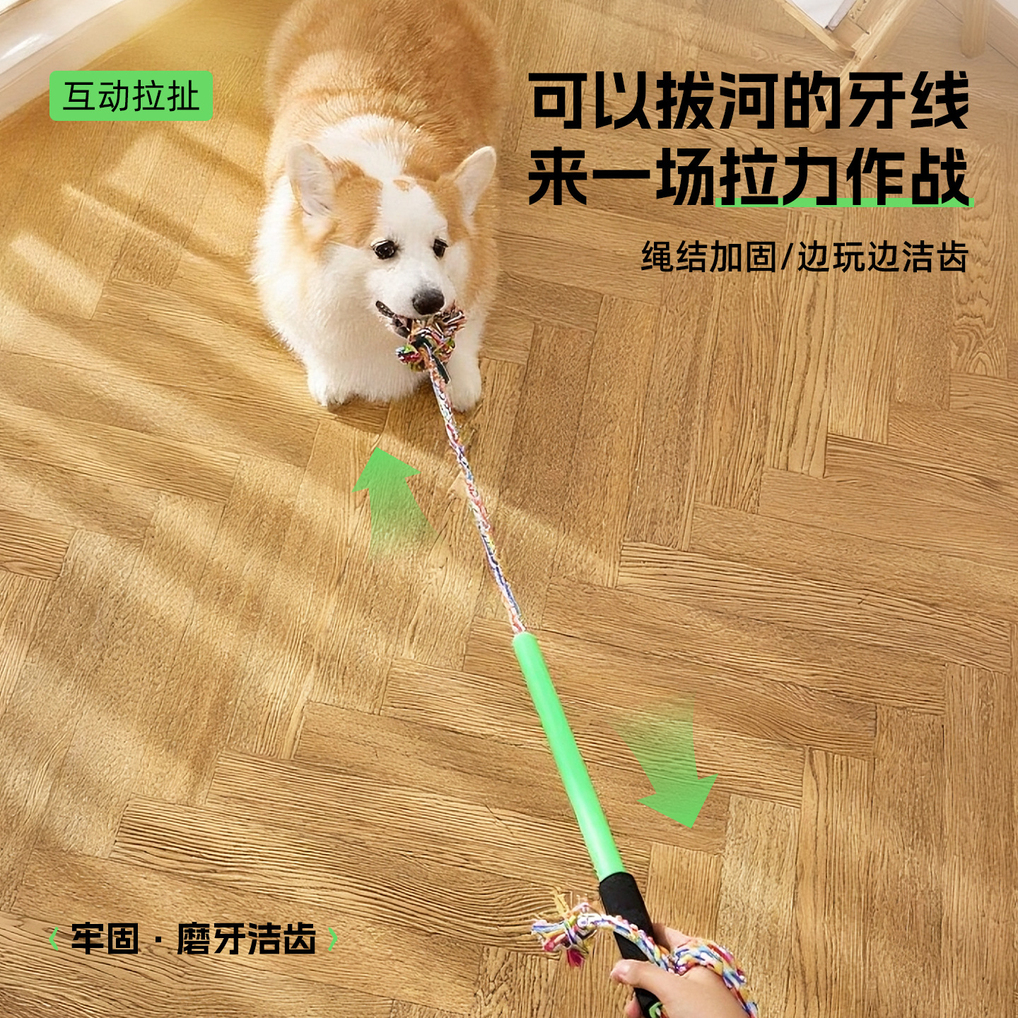 Nuevo juguete para perros, palo divertido para perros, juguete para perros, palo divertido para perros, palo divertido para gatos, palo de entrenamiento para mascotas, explosión de comercio exterior