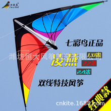 潍坊风筝 2.2/2.4米复线双线特技 运动风筝 到手可飞 stunt kite