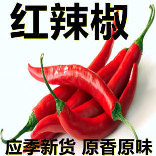 ������؛�t������500�� �t�����l/��/��/�ۿ��x �a��ֱ����N�ڸ�