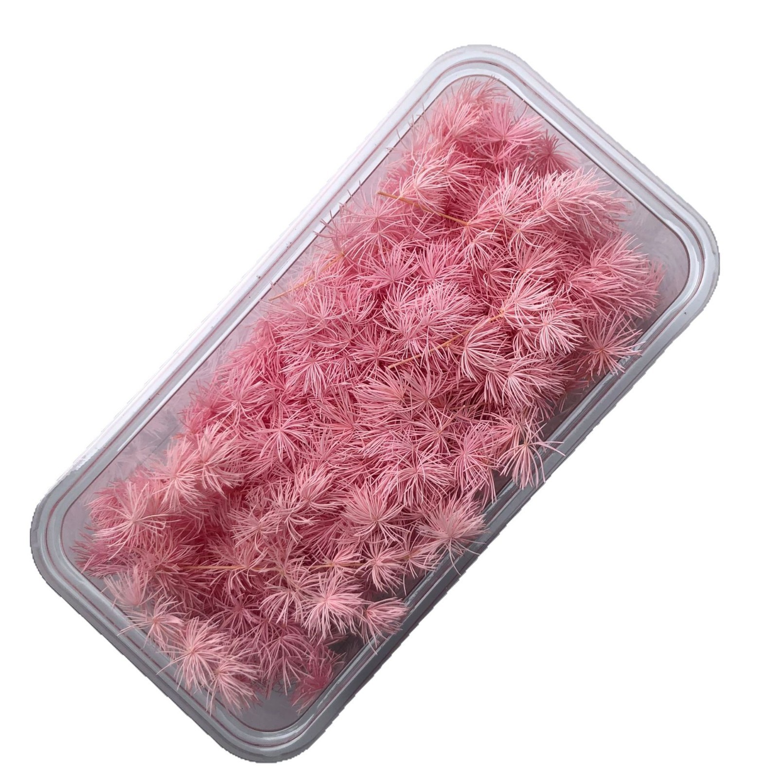 Branche de pin de Penglai éternelle, couvercle en verre, matériel de bricolage, accessoire de décoration florale flottante pour la maison_voghion.com