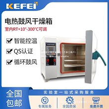 電熱鼓風干燥箱實驗室老化試驗箱高溫材烤箱烘干箱恆溫干燥箱