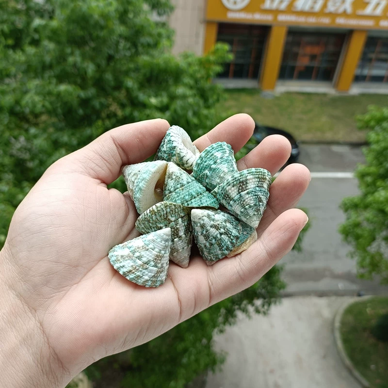 Органический коралл для аквариума ручной работы, набор для плавания, DIY