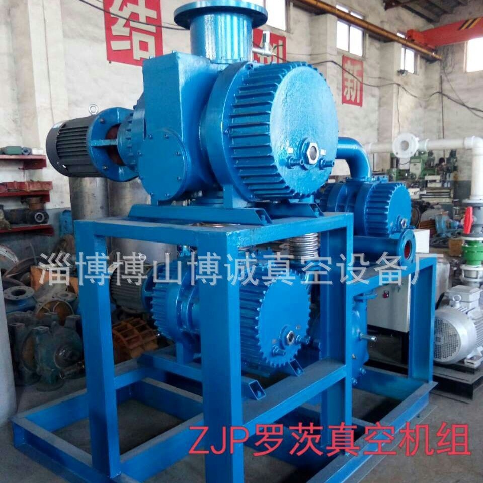 ZJP2S150 300 600罗茨水环真空机组 JZJ2B