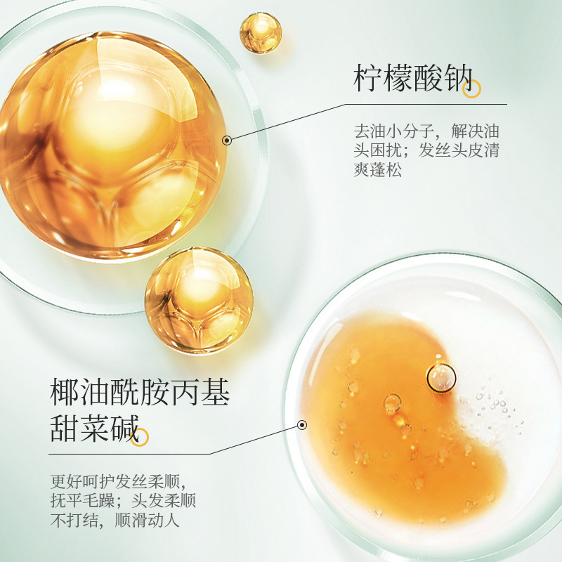 科曼集毛囊清潔洗髮水溫和清爽清潔留香柔順洗髮水 工廠批發