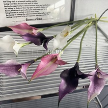 ��ֻ�p���R��ɏ ����eva����С�R��Ҿ��b��Ĕz���߷����c����