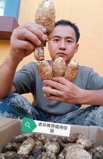 �r�����������ͨС�݉�����F�ڬF�l��ɽ����Ұ��Ʒ�|С�݉�ֱ�l