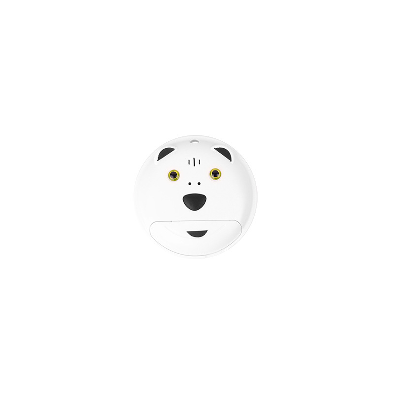 귀여운 곰