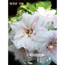 ��Խ���m��피t�M���ذ�N���`�p�����ˮ�ʮ����������z
