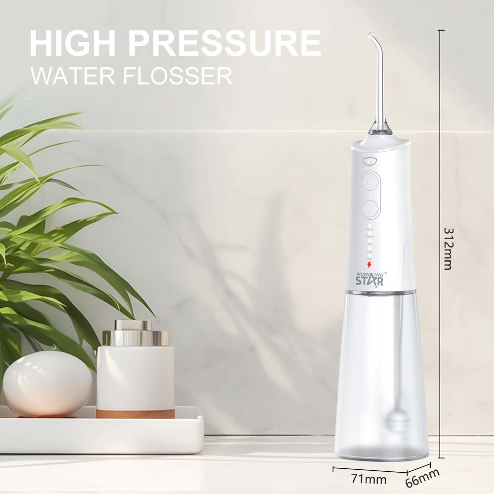 WINNINGSTAR TYPE-C transfronterizo hogar impermeable cinco modos de limpieza lavado de dientes Water Flosser