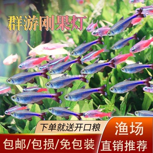 �{�������~С�͟Ꭷ�~�{ɫ���~Ⱥ���~�߲��W���{�����Ƶ�ˮ�ݸ��~