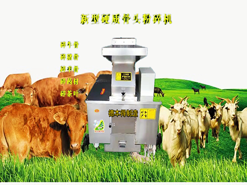 微信图片_20211115141843_副本