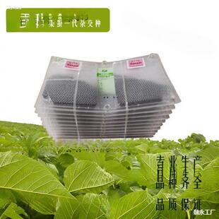 ���������Q�N��B�Q�����߮a���a�N�����Q���r�岻���Q�N�Ӄr��