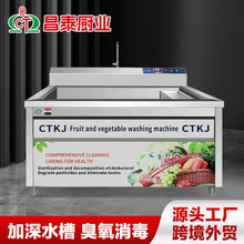 亚马逊热销全自动商用洗菜机气泡蔬菜饭店果蔬清洗机超声波清洗机