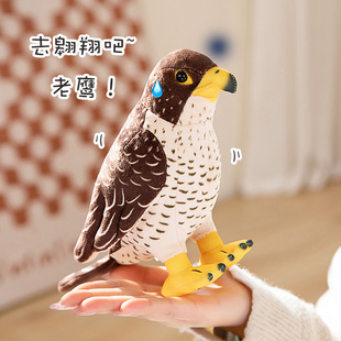 New simulation eagle doll plush toy funny simulation animal pillow girl Ragdoll factory direct sales