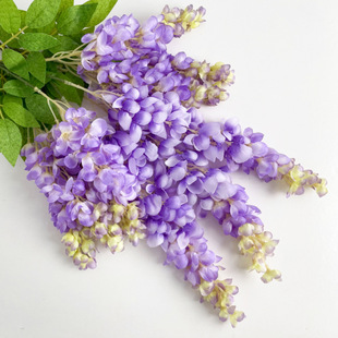���氢�������ٻ��L֦���ϼٻ����������ٻ�Y���b����b���