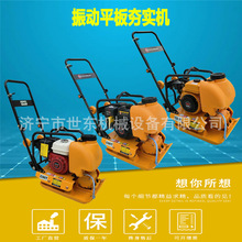 供应世东手推式回填土夯地机 汽油振动打夯机 小型振动平板夯视频
