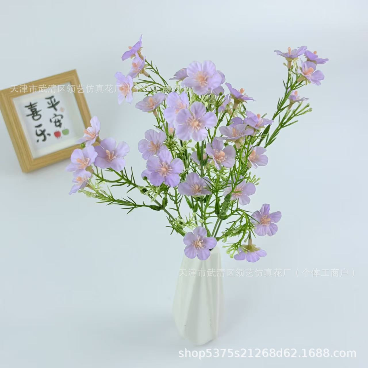 보라