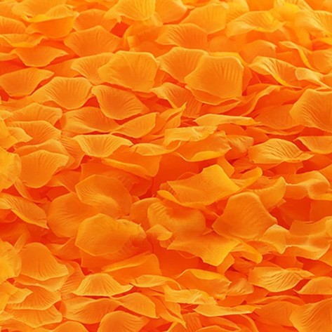 Orange (about 100 pieces)
