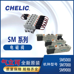 ������CHELIC늴��ySM5101-DC24V-L SM5100-C6-24V-L���SY5120