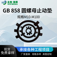 GB858 ����� �l�� 100HV ֹ�Ӊ|Ȧ