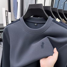 外贸2025春秋季保罗小马标刺绣圆领长袖体恤男简约休闲男装卫衣潮